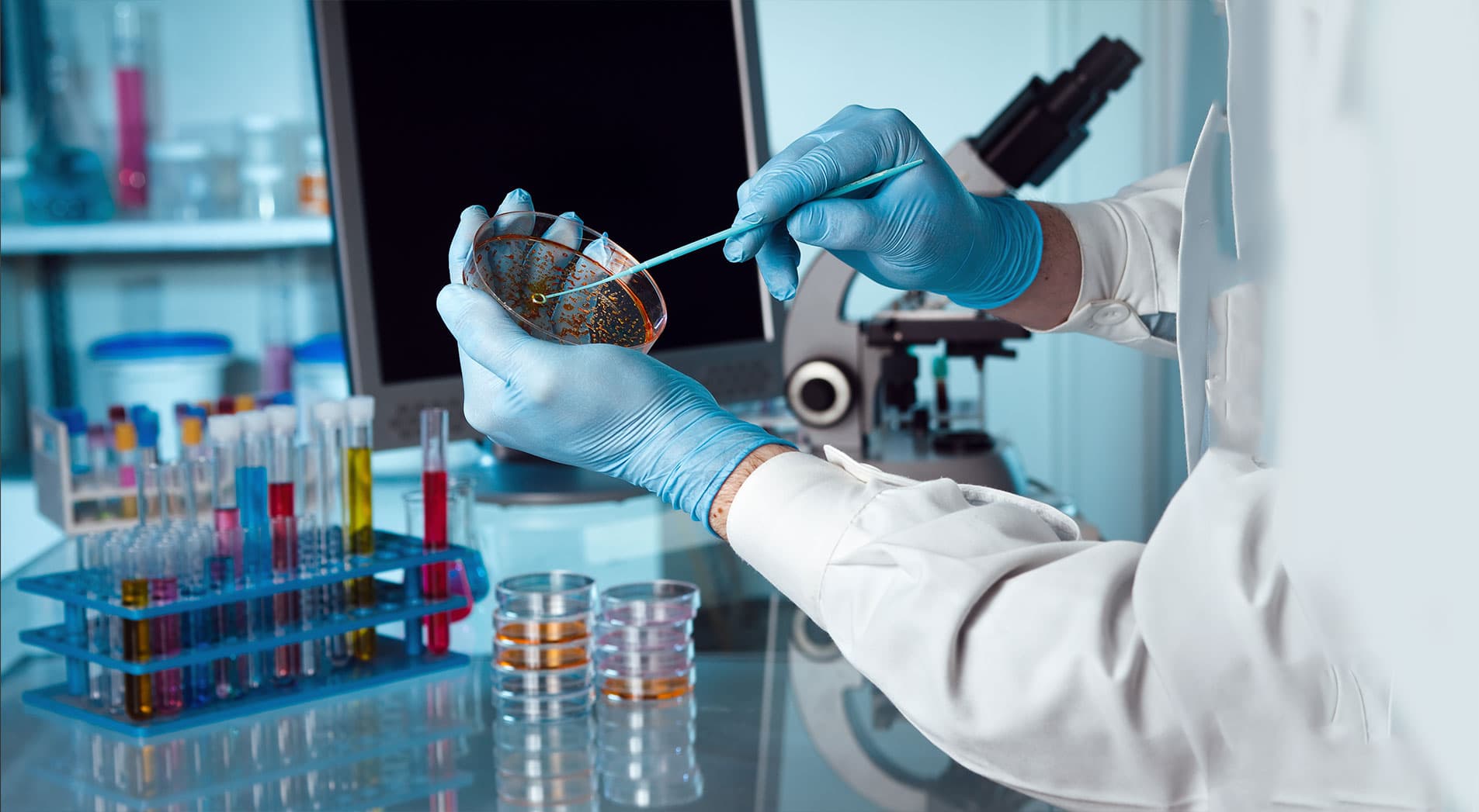 BSc Medical Microbiology