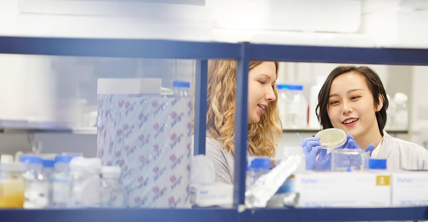 BSc Cellular and Molecular Medicine