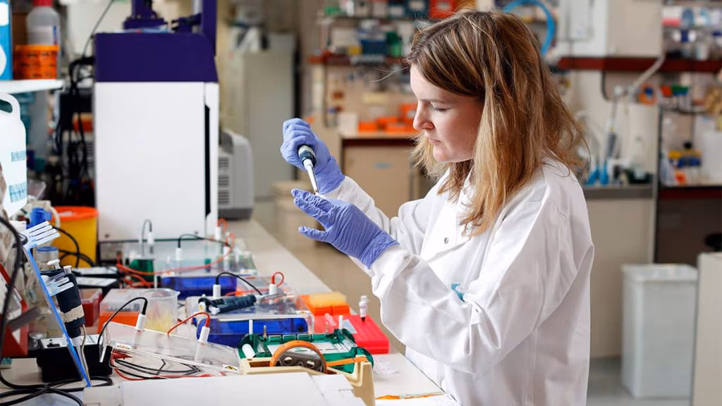 BSc Chemistry with Computing