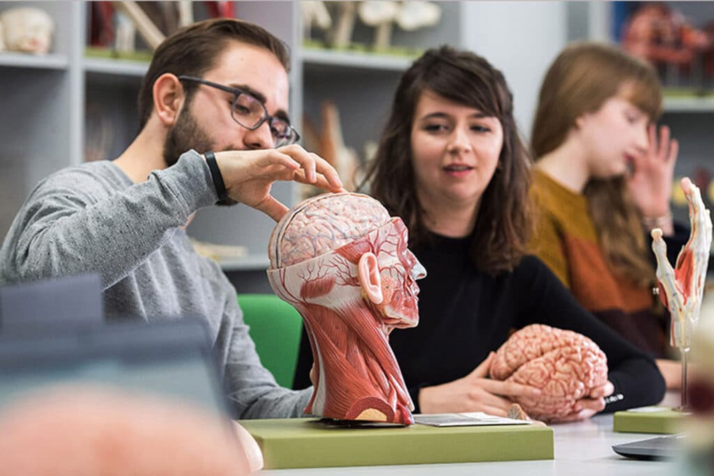 BSc Neuroscience