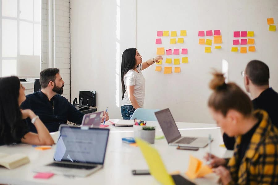 Business Management with Marketing BSc