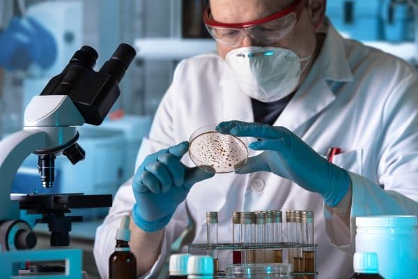Master's Programme in Microbiology