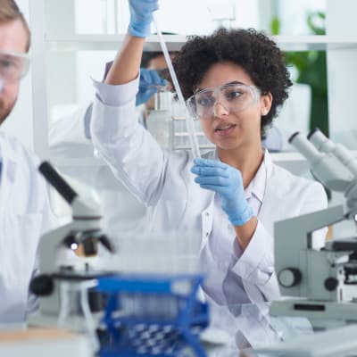 Bachelor's Programme in Biomedicine