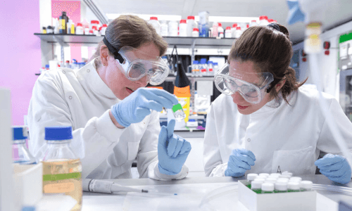 Master's Programme in Biomedical Engineering