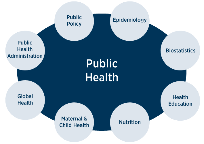 Master's Programme in Public Health
