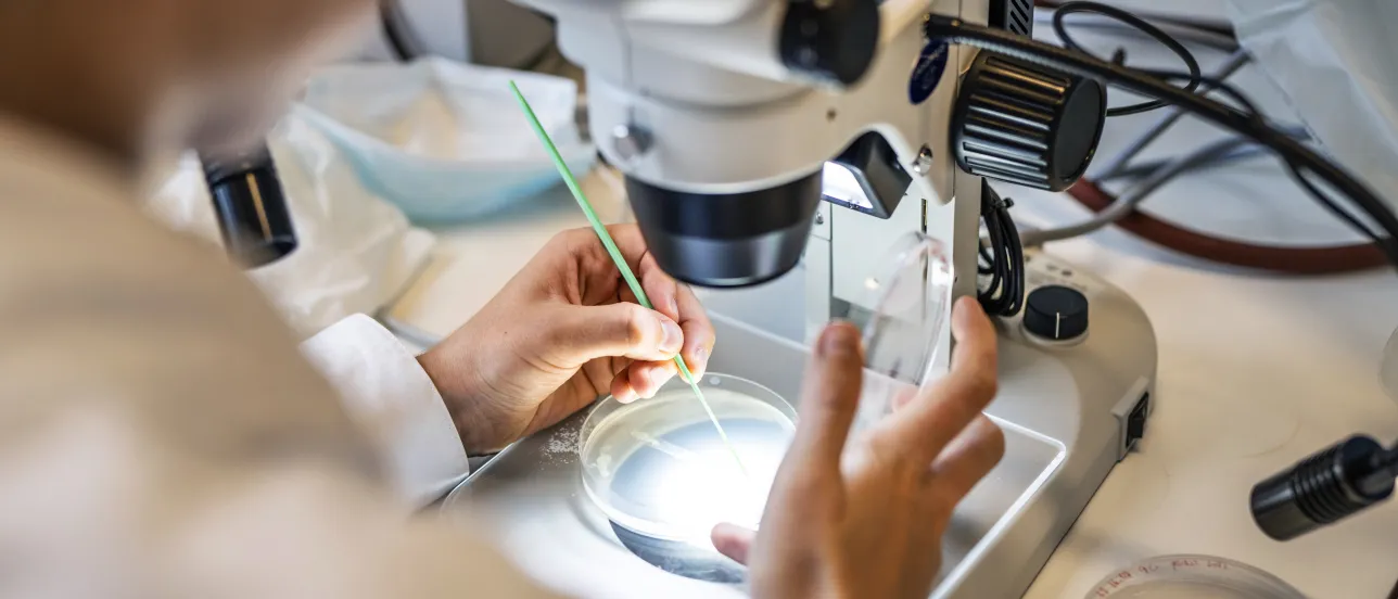 Master Programme in Molecular Biology, Immunology and Infection Biology