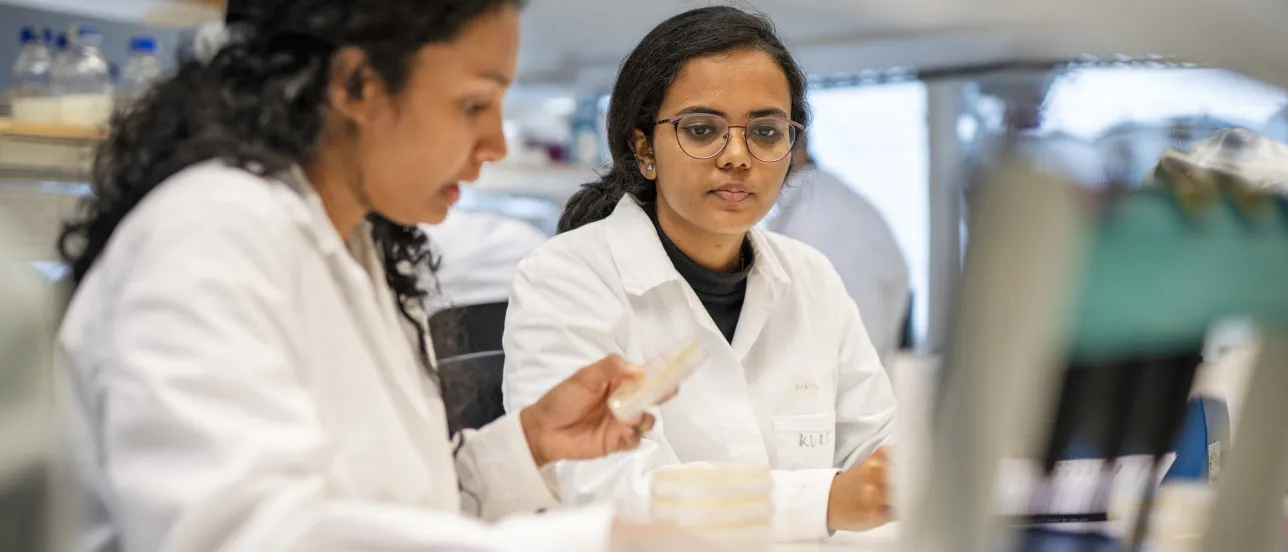 Master Programme in Molecular Biology, Microbiology and Biotechnology
