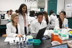 Master's programme in Biotechnology