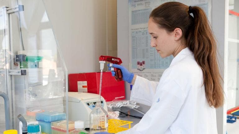 Bachelor´s Programme in Experimental and Industrial Biomedicine