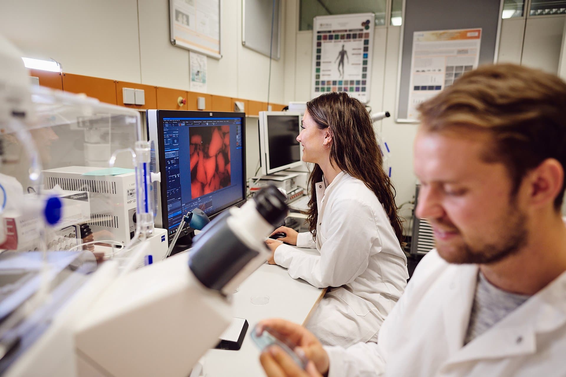 Bachelor's Programme in Biomedicine