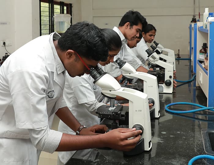 BSc in Microbiology