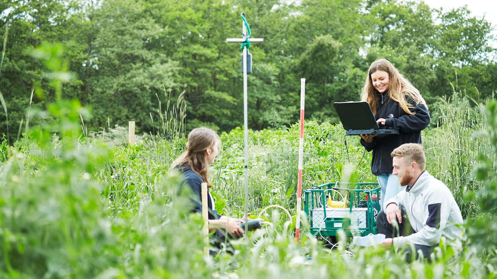 BSc In Environmental Science