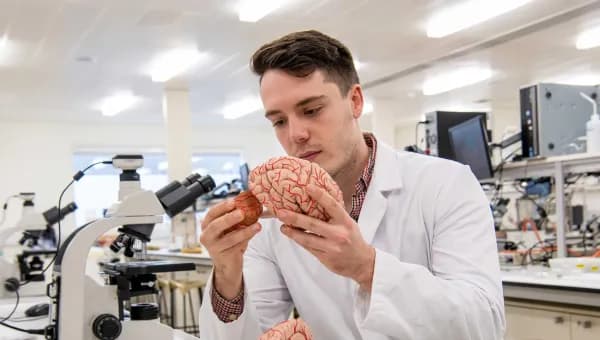 BSc In Human Neuroscience