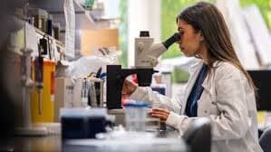 MSc In Molecular Biotechnology