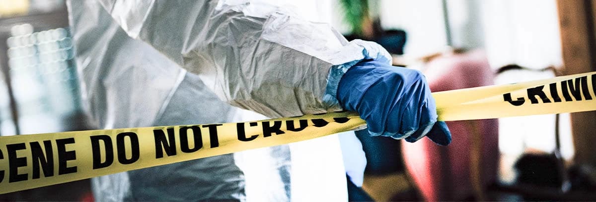 BA In Criminology