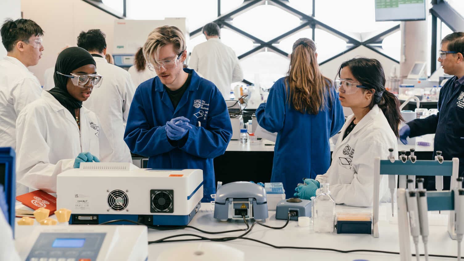 BEng In Biomedical Engineering