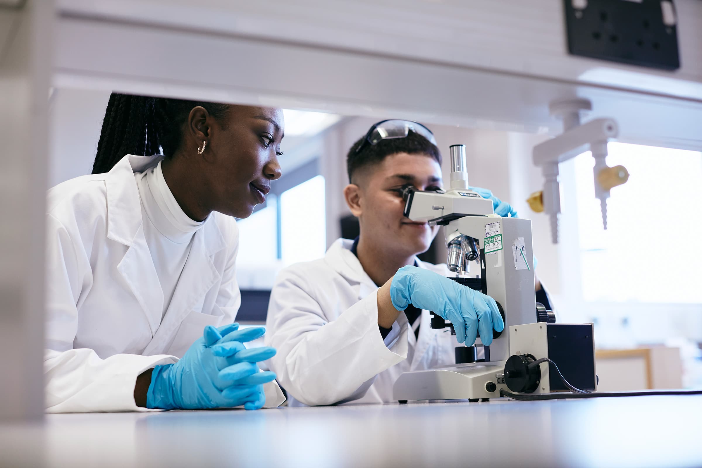 BSc (Hons) Medical Science